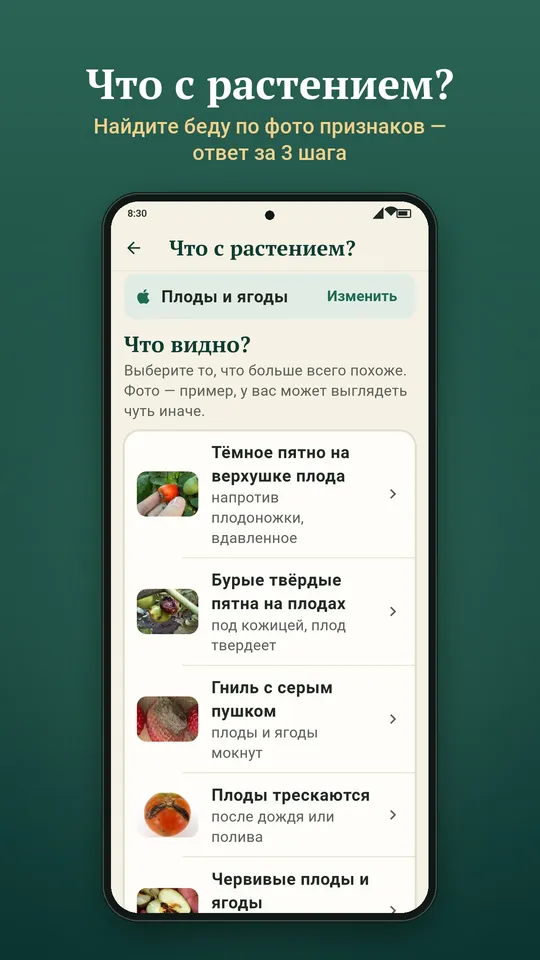 Справочник садовода: что с растением