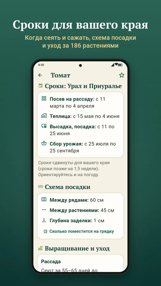 Справочник садовода: карточка томата